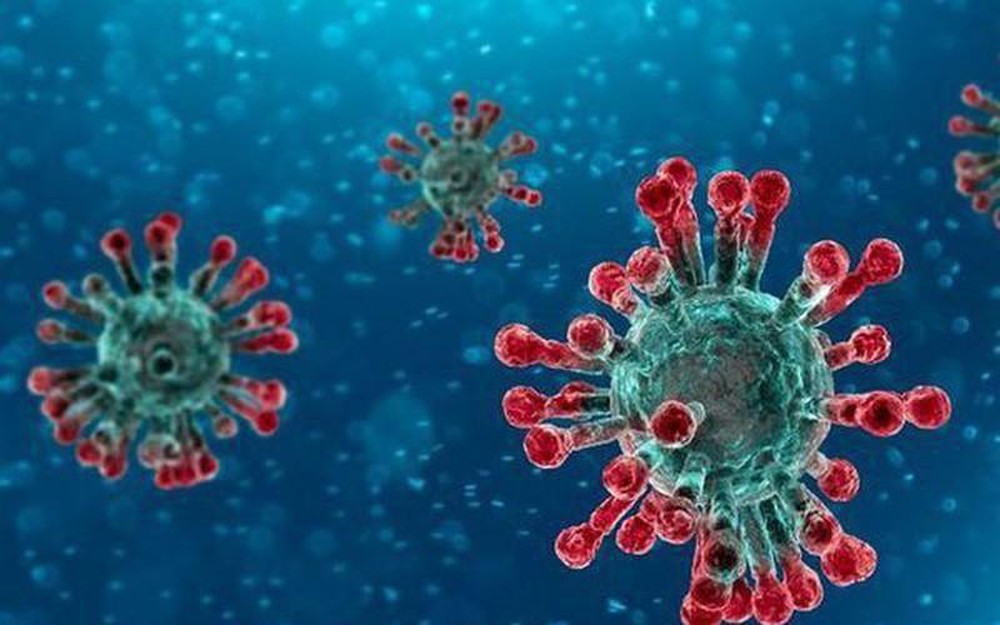 Virus SARS và nCoV có sự tương đồng với nhau. (Ảnh: Wiki)