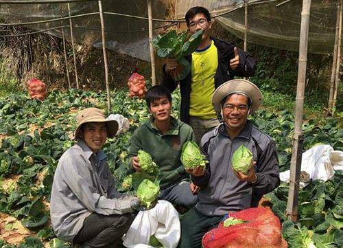 Học Viện Durando Vinh Sơn Dalat bán 16 tấn rau
