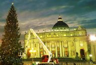 Những hình ảnh Vatican chuẩn bị chào đón Giáng sinh